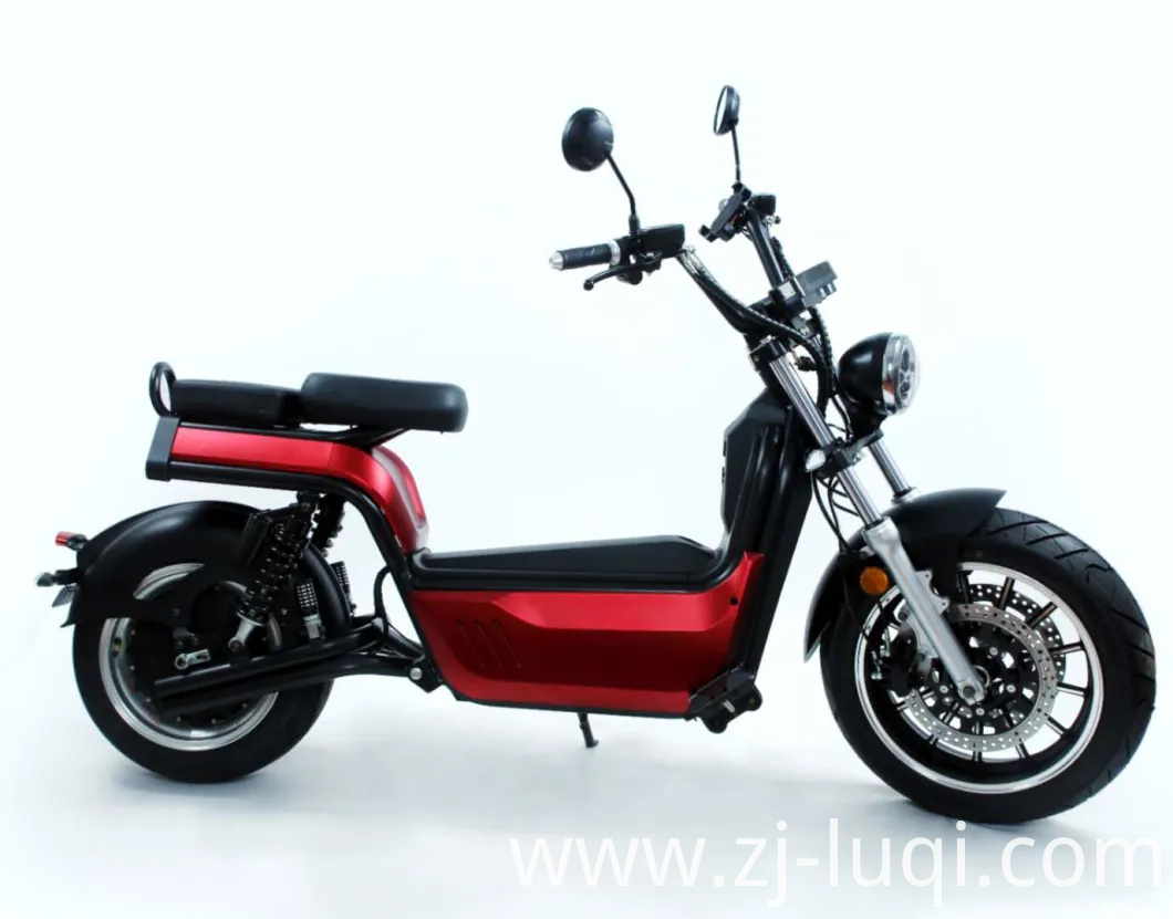 Greenpedel Wholesale Retro 60V 4000W Electric Bike Ebike Electric Bicycle with CE Certification